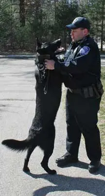 A police officer is holding his dog in the street.