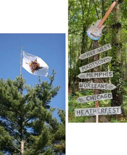 A tree with a flag and some signs